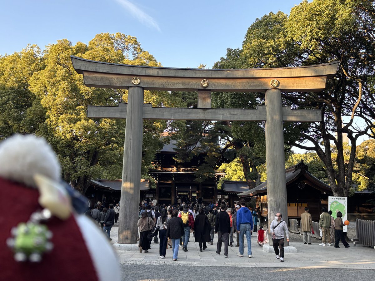 yumikuro_romi's tweet image. 先週末ですが‥1か月振りにお出掛けしました

ロミ助は初めての明治神宮⛩️
たくさんの薦樽に大興奮の酒呑み夫婦🍶
ウチのロミ助は毎晩、私達の晩酌に付き合ってくれるんですよー

#Romiとの日々
#明治神宮