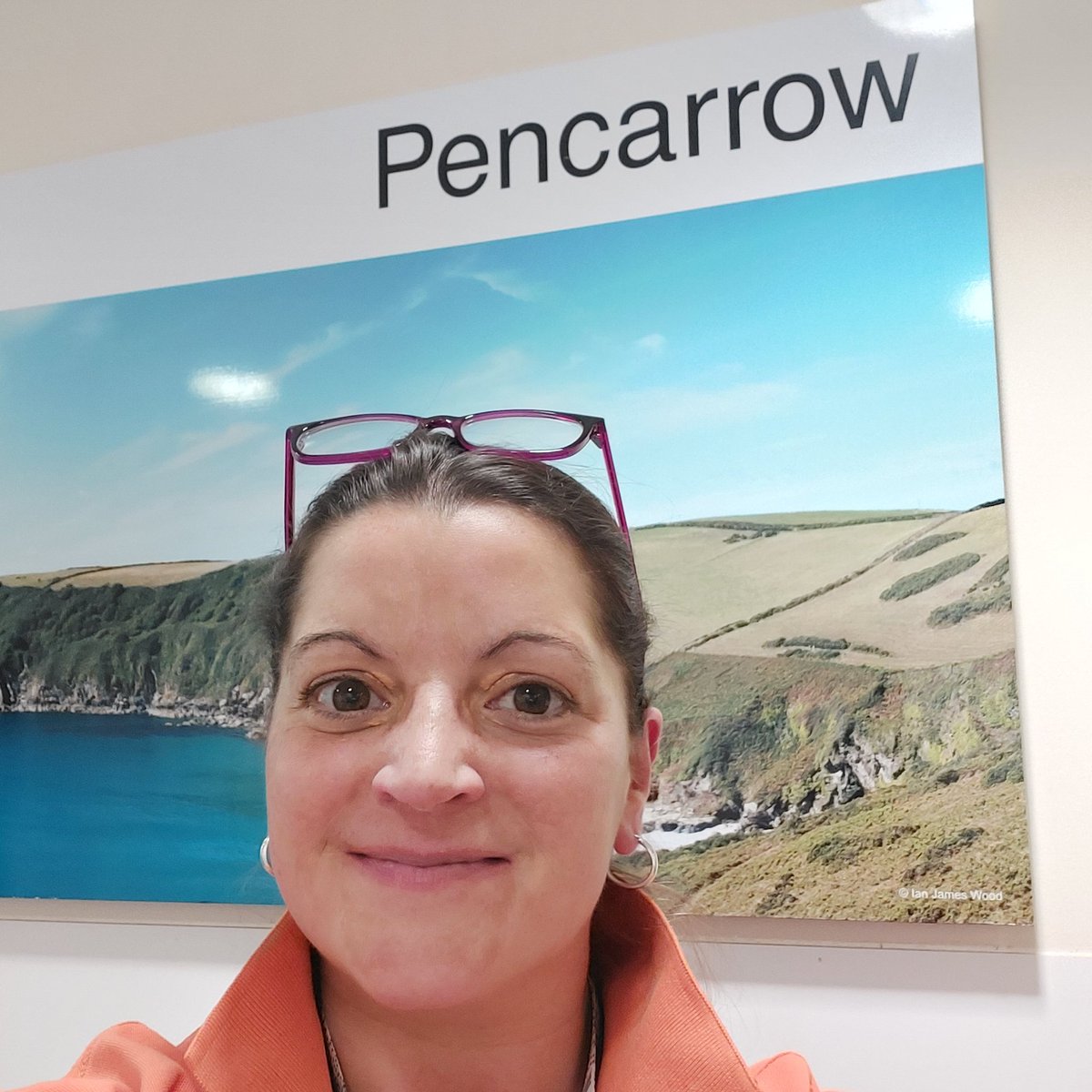 Lou Gallie tweet media