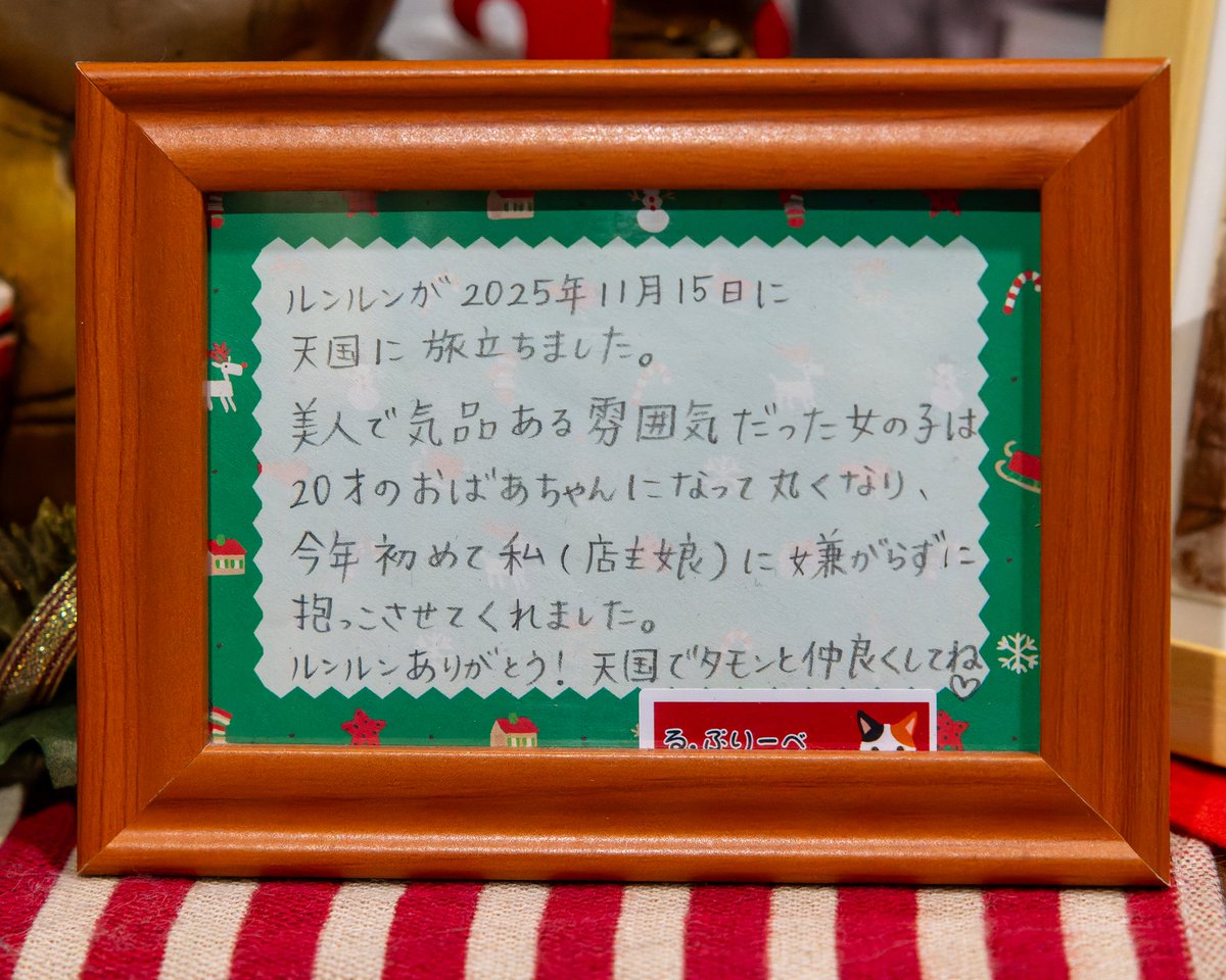 YokohamaCats16's tweet image. 根津の喫茶店ル・プリーベさんの看板猫ルンルンが虹の橋を渡ってしまいました。
お店の一画にルンルンコーナーが出来ていて、店主の娘さんの温かいメッセージが。
ルンルンの穏やかな姿を思い出し、安らかな眠りを祈ります。

​#ルプリーベ #ルンルン #根津 #喫茶店 #看板ねこ