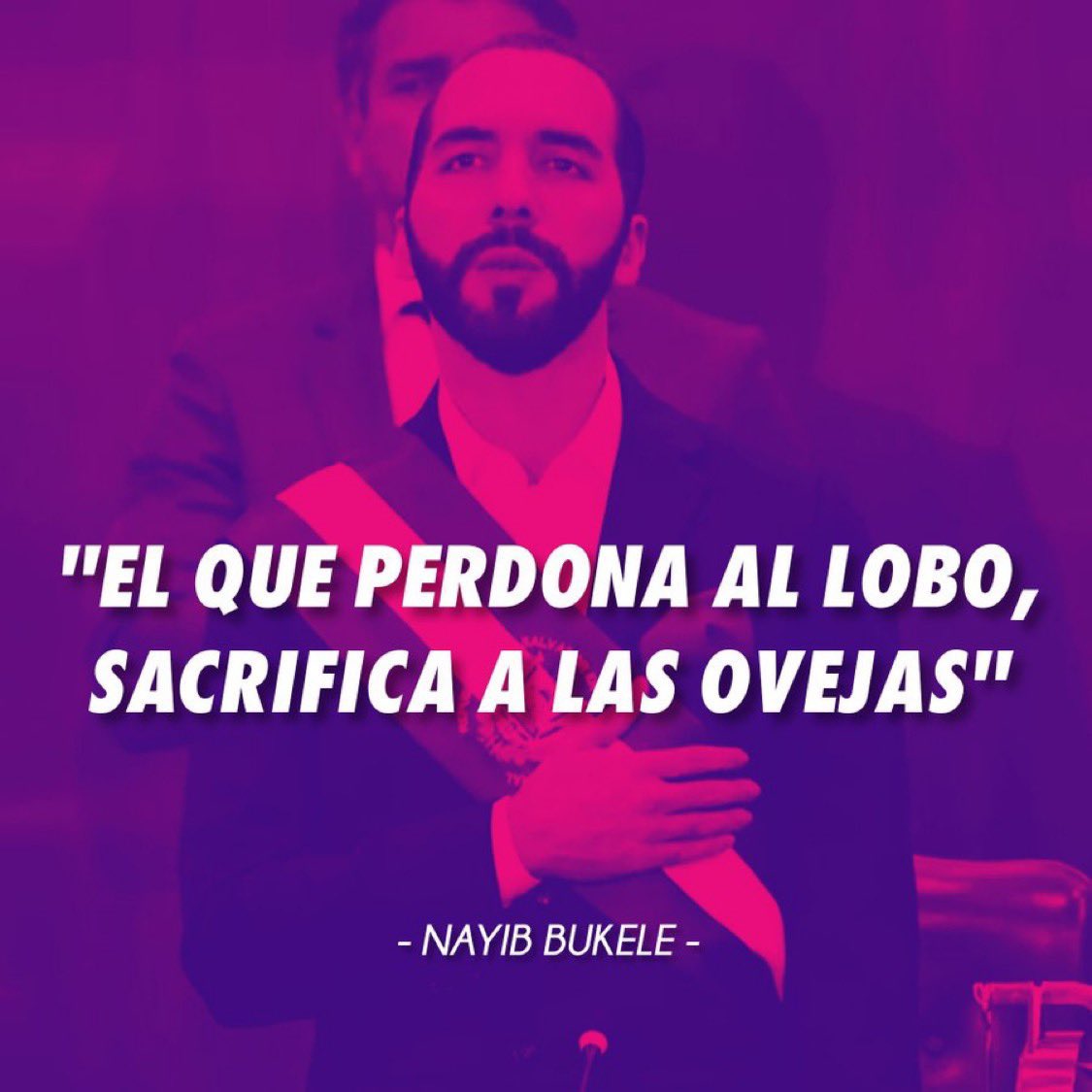 eduardomenoni's tweet image. 🇸🇻| EL PRESIDENTE NAYIB BUKELE: “El que perdona al lobo sacrifica las ovejas”.
