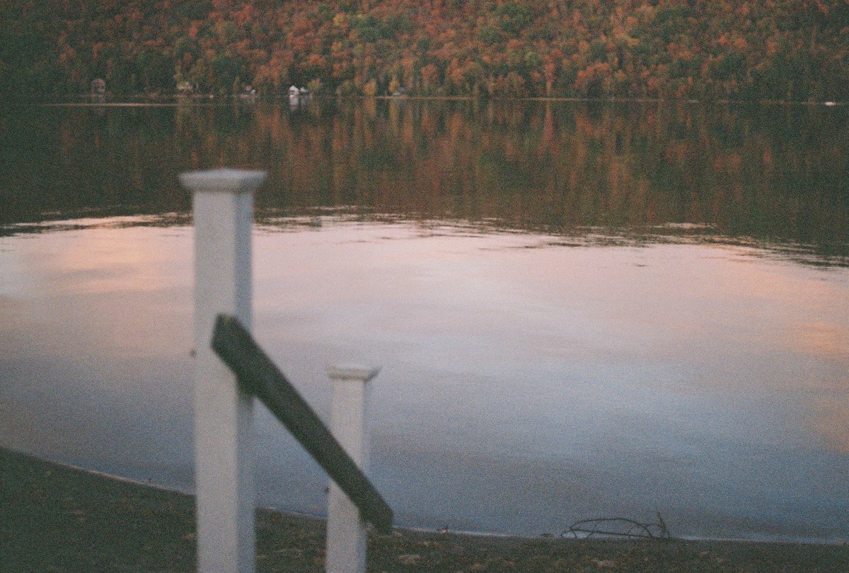 _muddypaws_'s tweet image. 