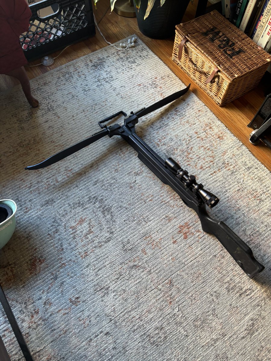 noahpasaran's tweet image. sometimes someone will just give you a free crossbow