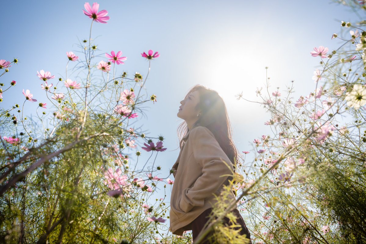 tymst_portrait's tweet image. 滑り込みコスモス🌸
Saikaさん @Saika15756231 
#旅は駅から #コスモス