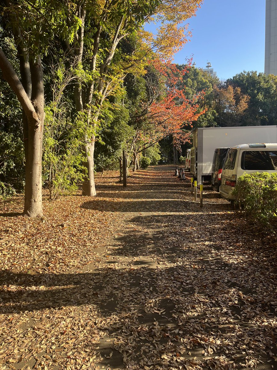 piccolo5655's tweet image. 秋を感じる🍂歩道だね。
^ ^