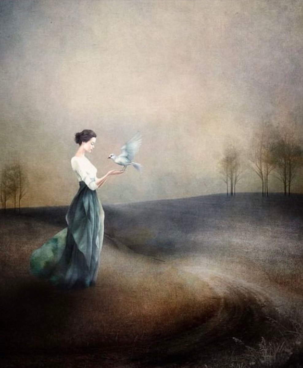 “Because of His grace He made us right in His sight and gave us confidence that we will inherit eternal life.”
~Titus 3:7🕊