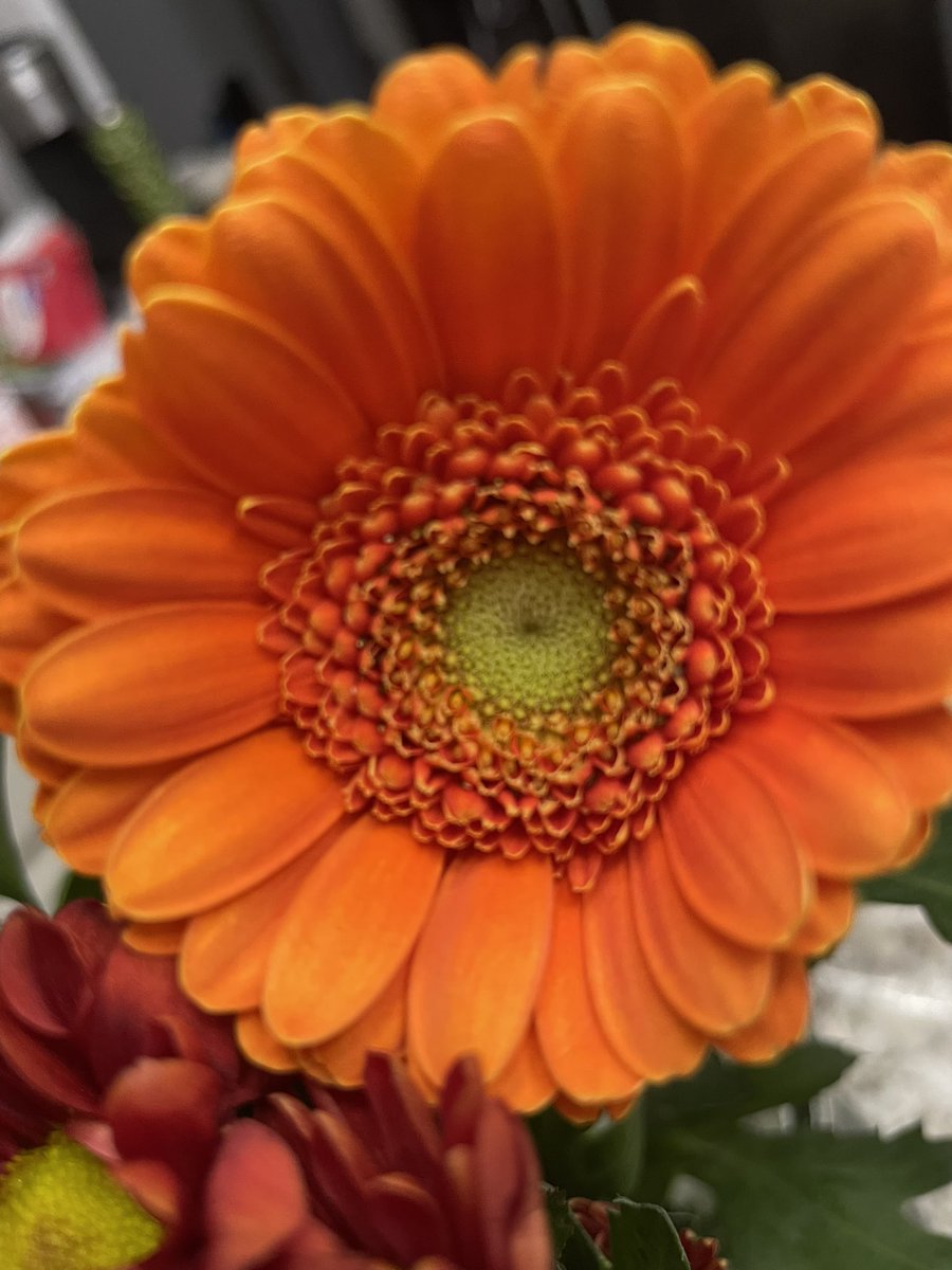 Jennife48140122's tweet image. Thanks for looking at items for my K- 2 academic autism.classroom 
 #Autism   #clearthelists 

 amazon.com/hz/wishlist/ls…