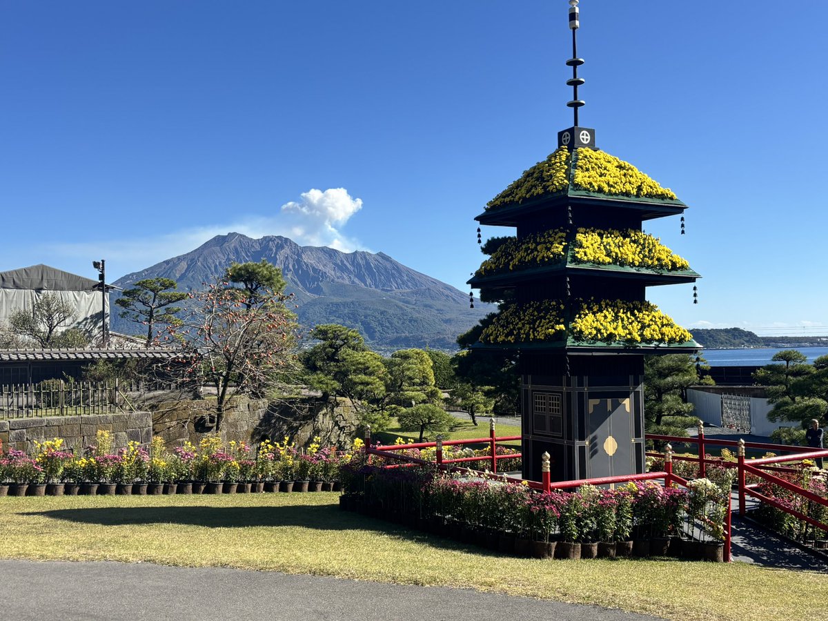 _ichiko_'s tweet photo. 桜島見たくて鹿児島行ってきた～🌋✨️
やっぱり山頂もくもくしてる！！！

桜島1周は車で1時間🚗
自転車だと4時間らしい🚴‍♀️
私は観光と食事してゆっくり回りました。

写真は仙巌園、ホテル近くから、有村溶岩展望所、桜島フェリーからの桜島
お天気に恵まれてずーっと美しい景色で最高の旅行でした😊 https://t.co/nHhsN5OpcP