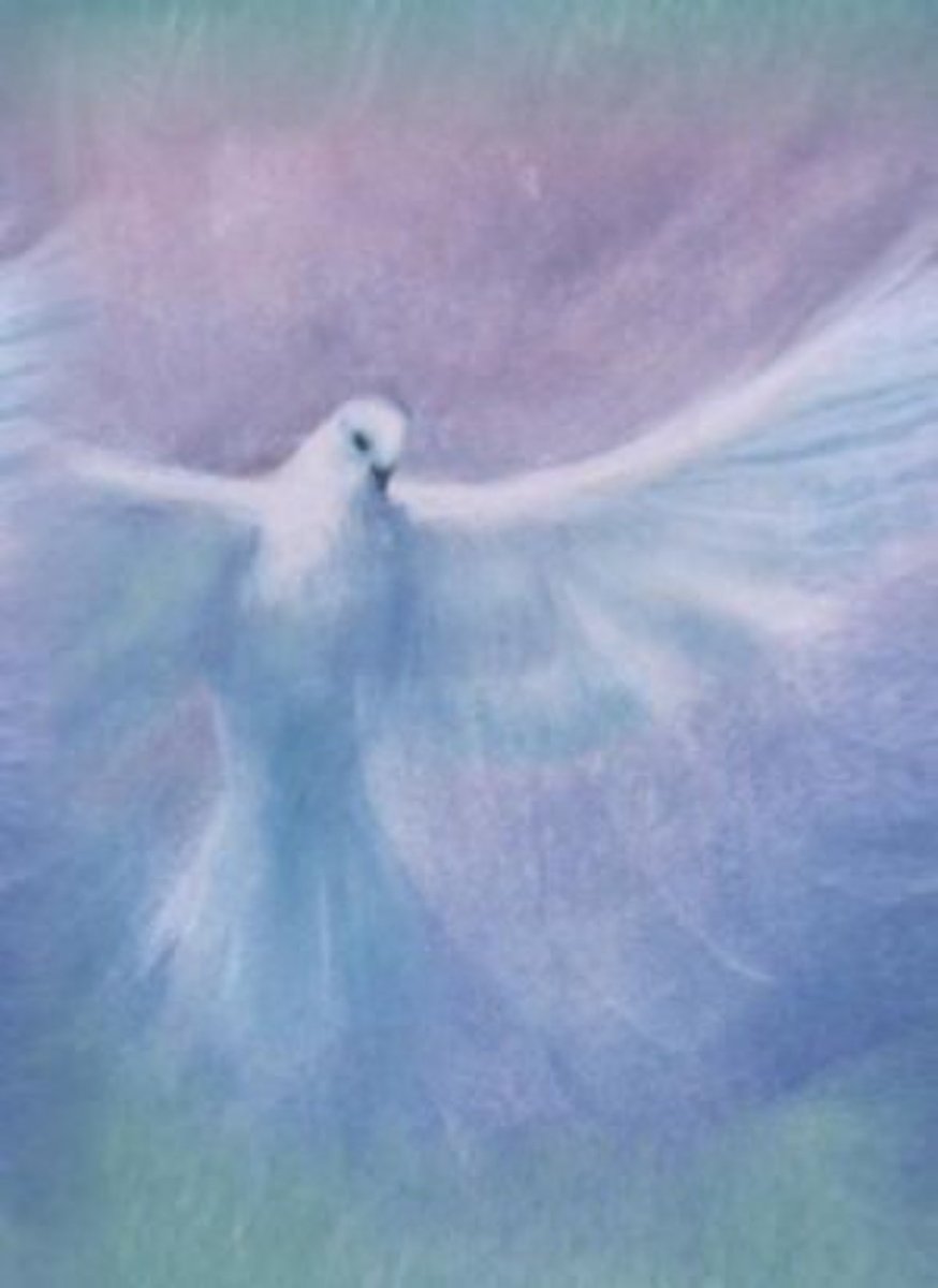 “Since we have been justified by faith, we have peace with God through our Lord Jesus Christ.”
~Romans 5:1🕊