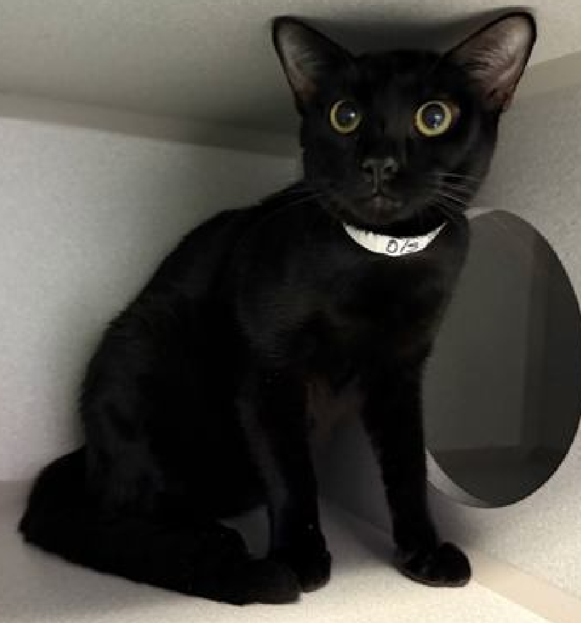 Jack5928 tweet media