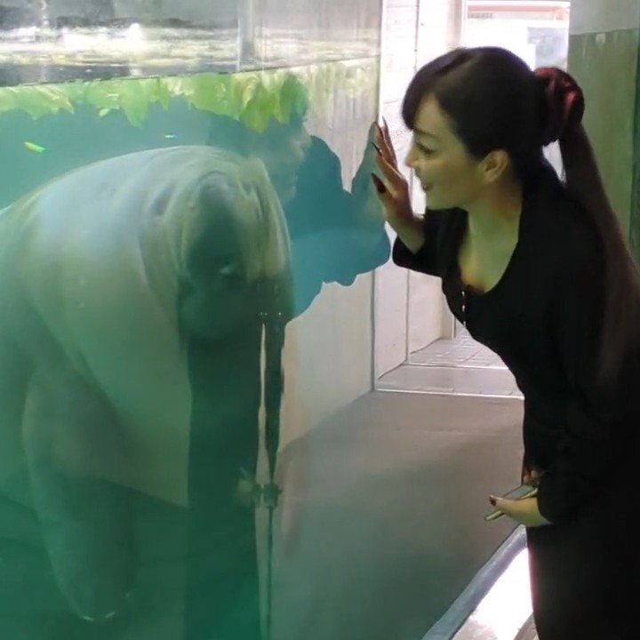 🟥🟥🟥【ブログ・みずほ論】🟥🟥🟥

『自由の素材』

 ▷▶ameblo.jp/mizuhokanzaki1…

#アメブロ
#みずほ論