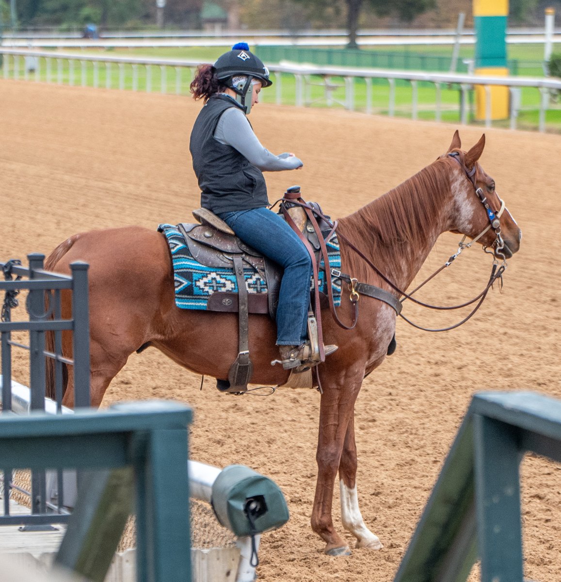 Robert Yates tweet media