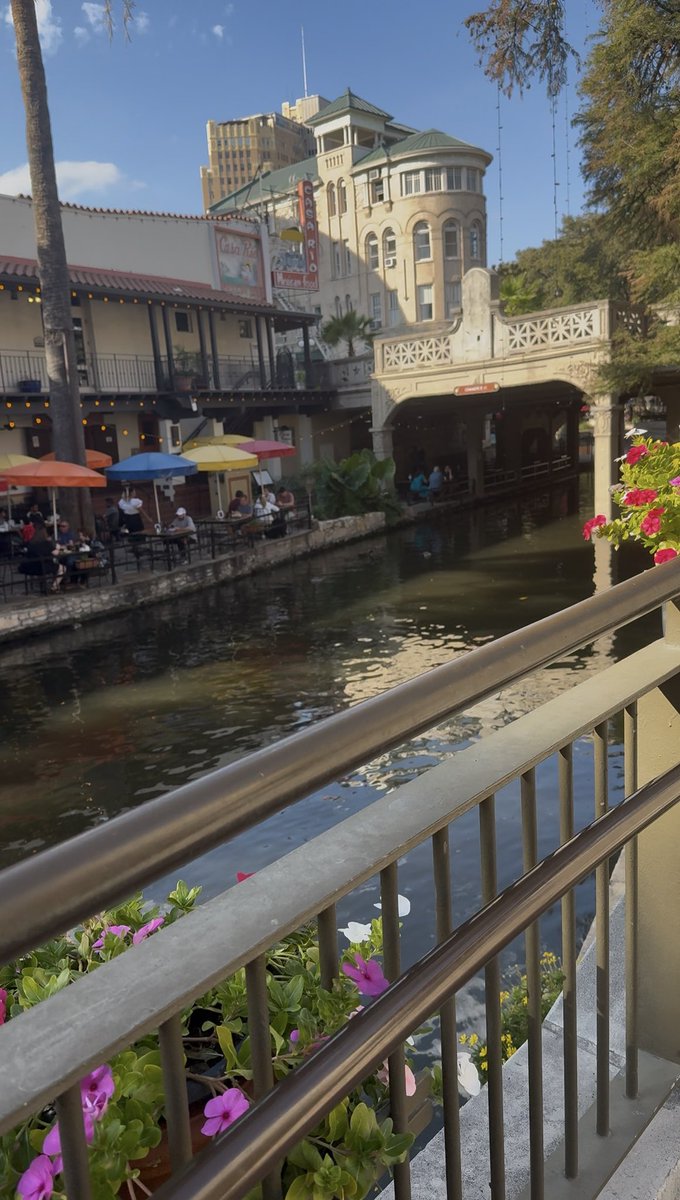 SincerelyxBri's tweet photo. 📍San Antonio , TX https://t.co/JAWI7EXxXm