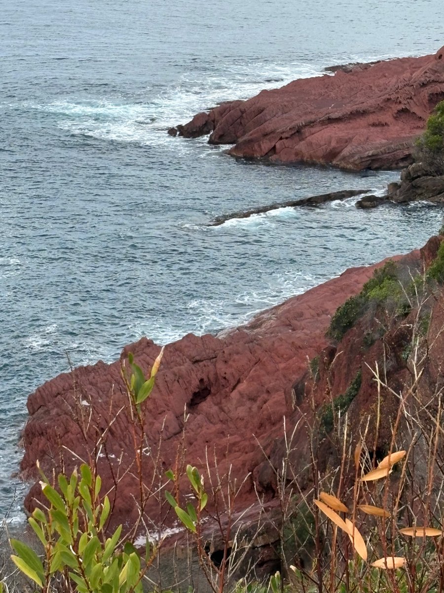 fireplayer87's tweet photo. @NordstromJoe @ExrjmcCarr @jpavlovic801 @BryanQuinn @Emperatriz1827 @AGlimpsofHeaven @firegirl_01 @W_Angels_Wings @arialigi @gwi5d A mythical creature of the sea, oh trying to navigate rough waters to get to him, swimming to her lovers aid, let’s work together in synergy. Drowning me in an ocean of love https://t.co/ouGGc40ZOq