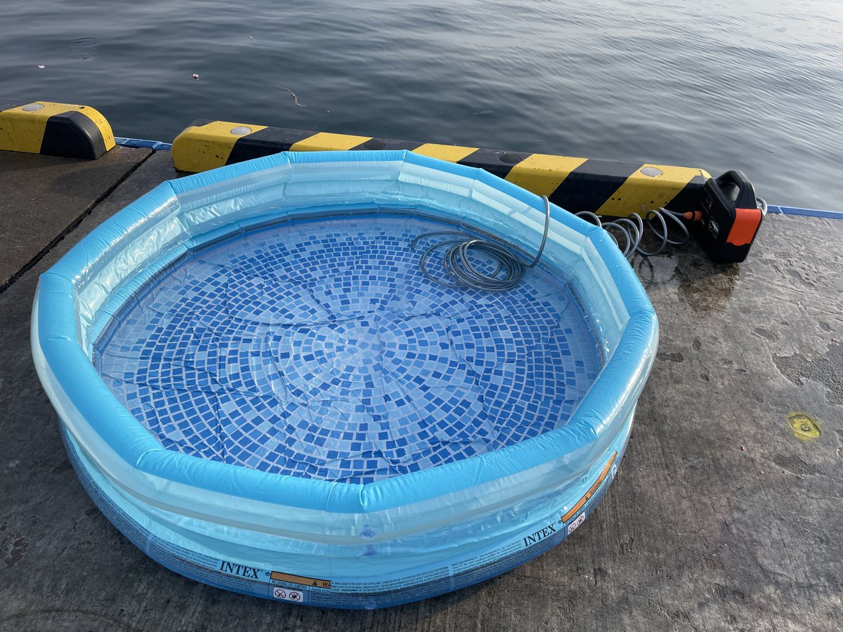 おーちゃん (@Ohchan_sub) / Posts / X