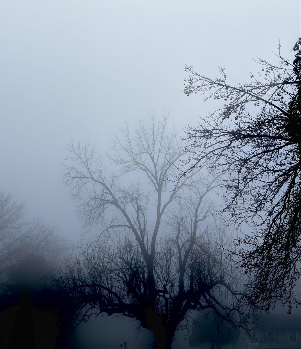 r_u_c_n_o_k_'s tweet image. Early this morning…