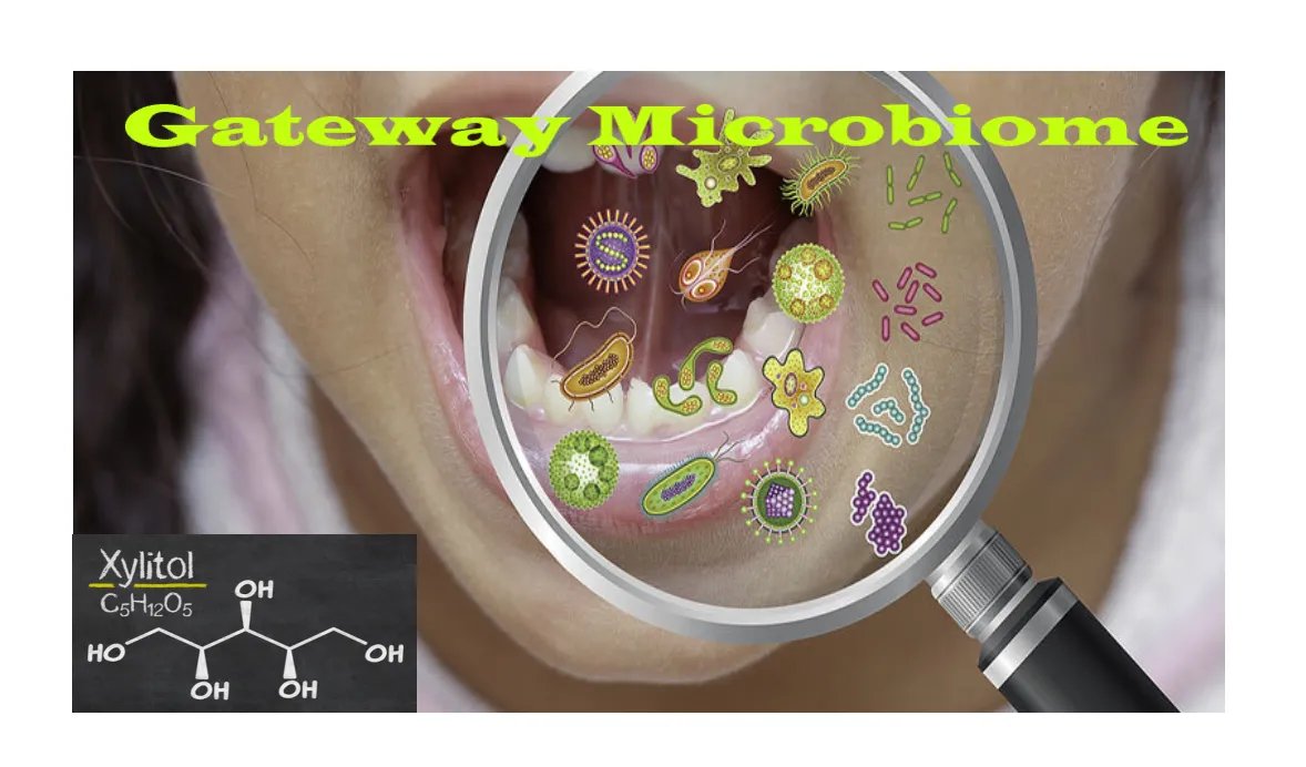P_McCulloughMD's tweet image. Xylitol and the Gateway Microbiome

Why Xylitol Chewing Gum, Dental Rinse, Toothpaste Improves Maternal-Fetal Outcomes and Reduces Dental Caries in Children @XlearInc @twc_health thefocalpoints.com/p/xylitol-and-…