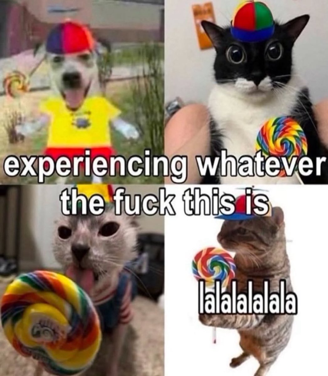literallymecats's tweet image. 