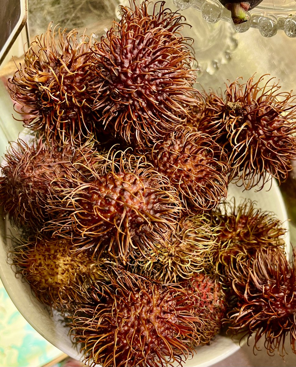 TaraWardBooks's tweet image. Thank you for your #SundayQuiz guesses. The answer is a #Rambutan! I think it was tricky this week. Thank you for playing along ...