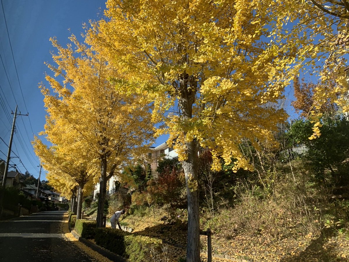 nanohanakan's tweet photo. 先週、紅葉ドライブ🍁へ行って来ました😊利用者様の皆様から、“良かった”という声もありました☺️
12月の壁面ではクリスマスツリー作成して男性の利用者様も頑張って貼り付けしていただきました👏
最近では、寒暖差で体調崩しやすくなっているので、フォロワーの皆様、気を付けてお過ごしくださいね🙇‍♀️ https://t.co/1EuffMy6af
