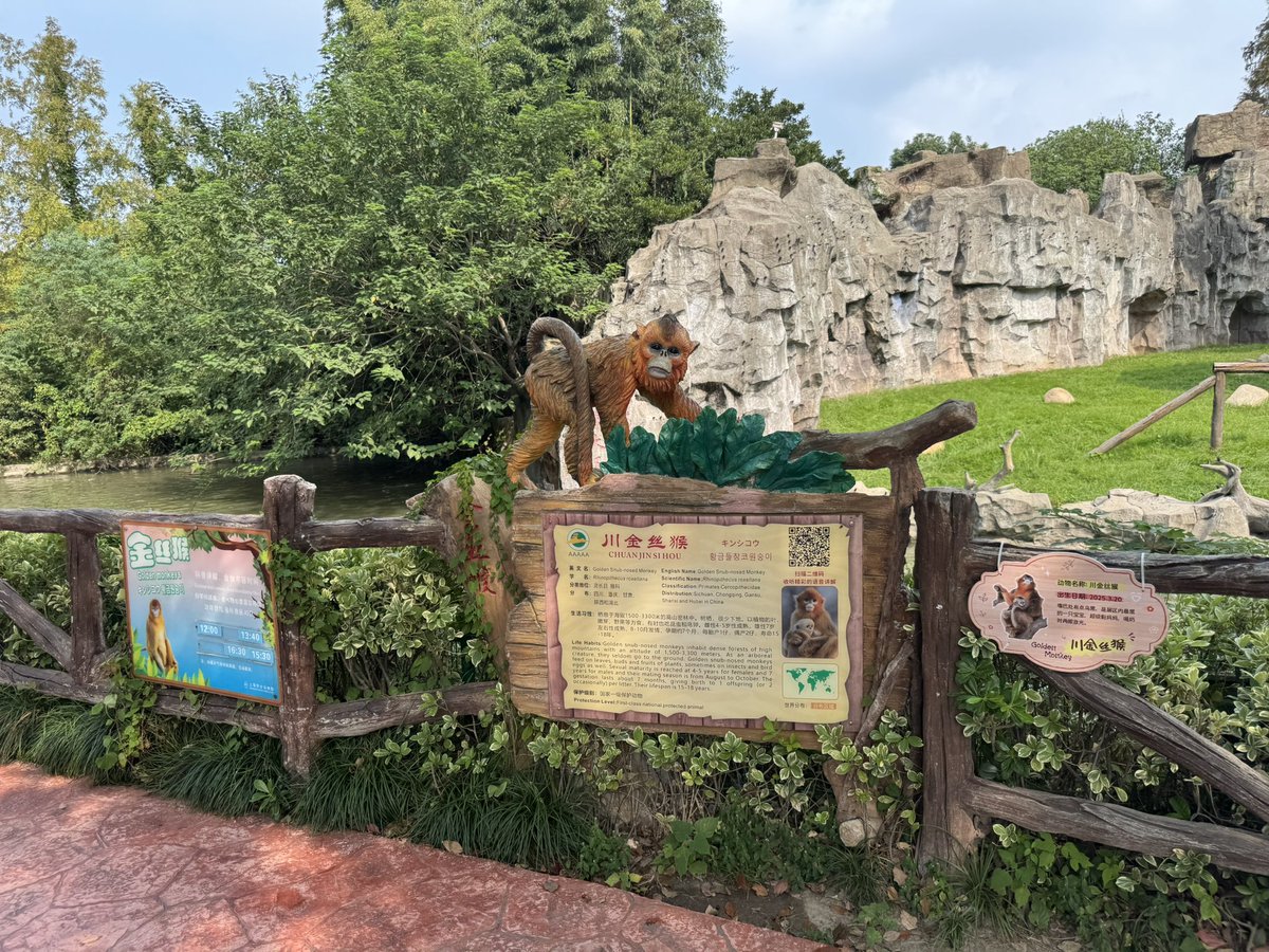 ちょむ子🍍 (@animal_photos2) / Posts / X