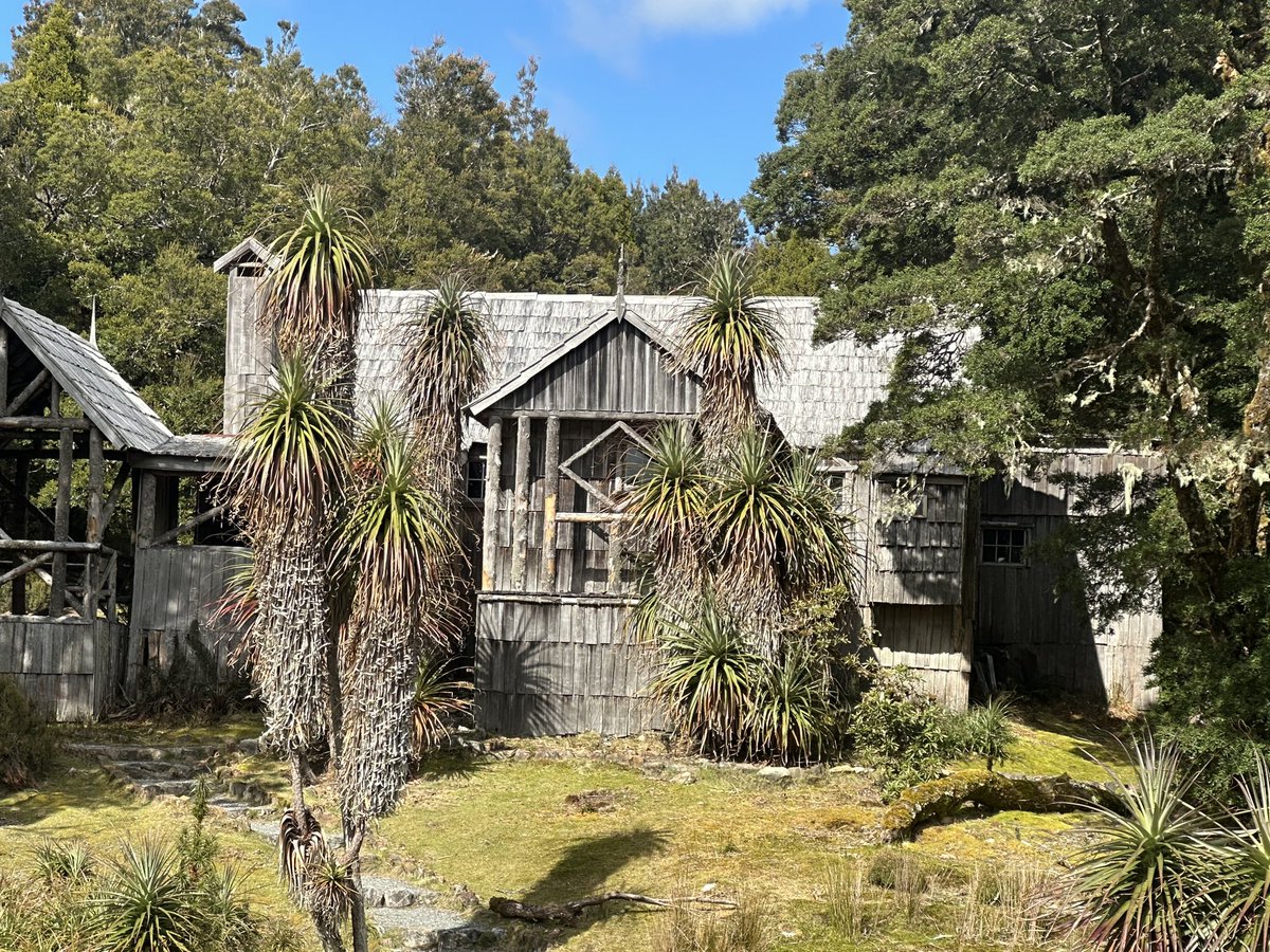 StephenGRyan's tweet photo. Some views on our Cradle mountain walk. #asatours   #cornus  #acanthus     #abcradio  #mtmacedon  #3cr #stephenryan #rareplants  #osmanthus   #dicksoniarareplants   #tugurium   #planttrust. #thehorticulturalists https://t.co/xJJ5ciknVQ