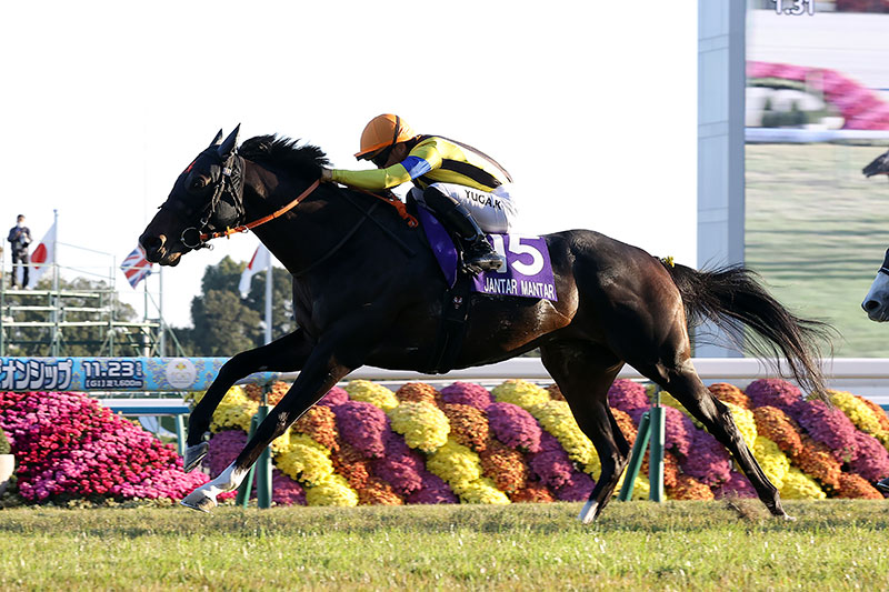 jimuin7035's tweet image. アメブロを更新しました。『3107 正に鉄壁の強さでマイルＧⅠ完全制覇に～｢第42回マイルチャンピオンシップ競走｣｡』
⇒ ameblo.jp/senohia7027/en… #アメブロ @ameba_officialより