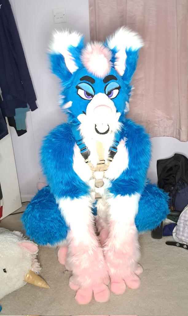 Bloob Folf tweet media