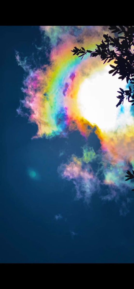 nogps1's tweet image. All chemicals unfortunately.. just like oil in a puddle...

Chemicals in a puddle 1st photo -
Chemicals in the sky 2nd photo

Please wake up people.. before it&apos;s too late!