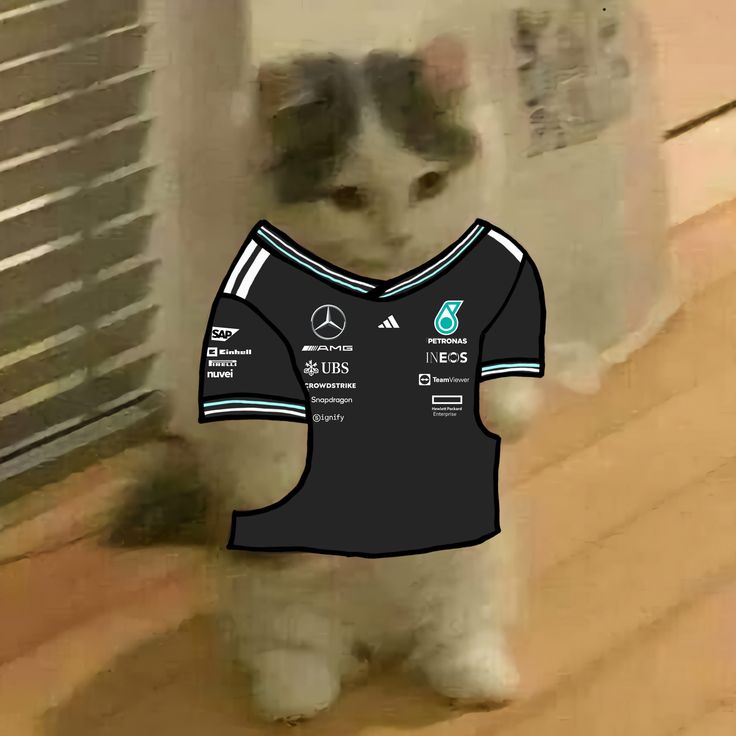 sttnny's tweet image. ⌕ #studytwt | #studytwtbr

  ◇ ste, 05
  ◇ foco: usp, enem
  ◇ conta feita para ter mais motivação nos estudos, ou só falar sobre, e reclamar um pouco de formula 1

passei um tempão off

 ― estudo, livros, crochet, bordado, cozinha e fórmula 1