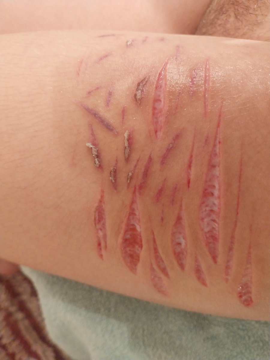 ⁺‧₊˚ ཐི⋆Niko⋆ཋྀ ˚₊‧⁺ tweet media