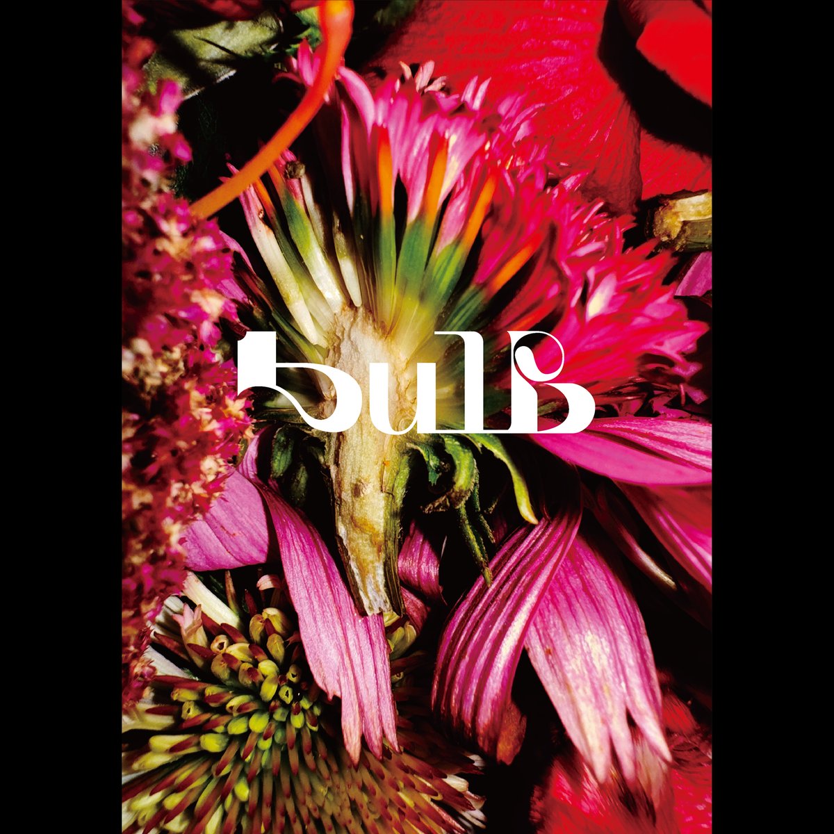 家入レオ　20ツアー　ジップパーカー　Lサイズ　新品未使用 家入レオ 5都市での全国ツアー「家入レオ TOUR 2025 〜bulb〜」が開幕