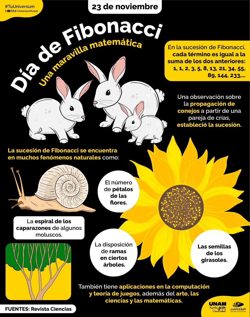 PabloStoner1's tweet image. #Fibonacci