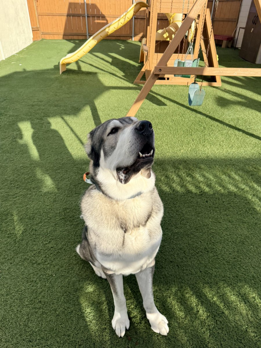 Mando is officially San Diego livin’ ☀️