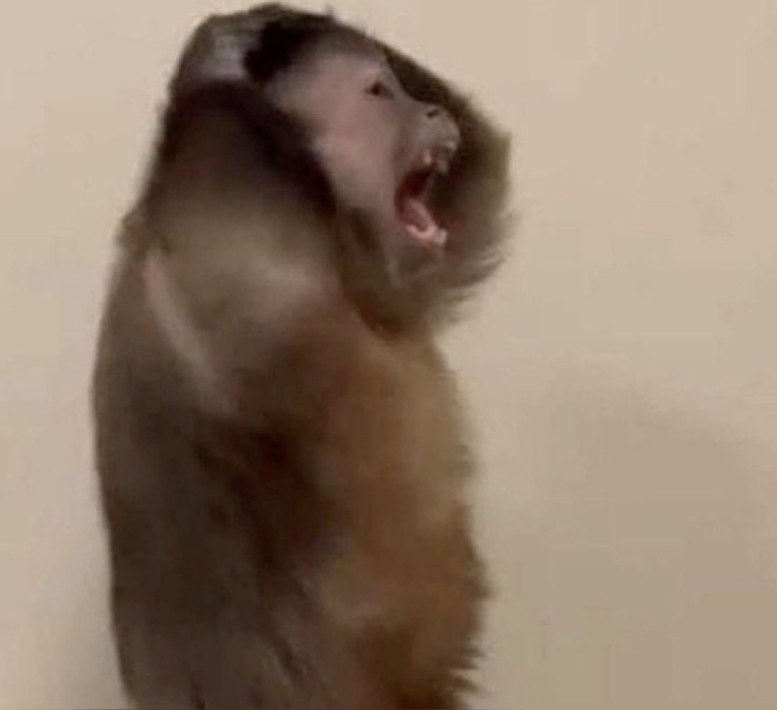 #فضيحة_حسابات_الذباب_الالكتروني
#الذباب_الالكتروني 
#قايمة_المفضوحين
#قايمه_المفضوحين
خساره دخلت حساب وحده وانتظر يطلع ايجبت وطلعت في السعوديه