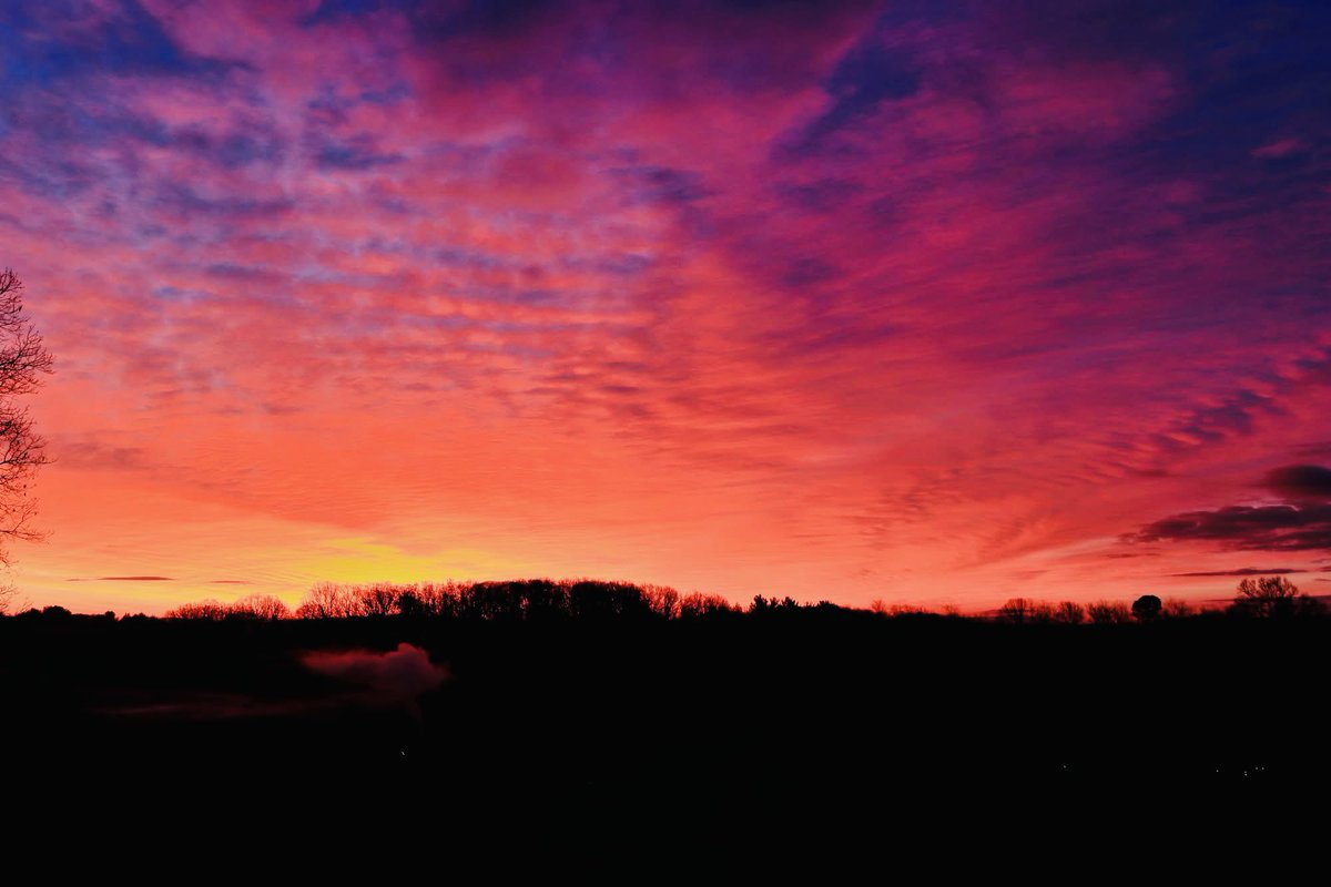 JoshFitzWx's tweet image. The sky melts into a sea of gold and crimson. Good night. 😴
