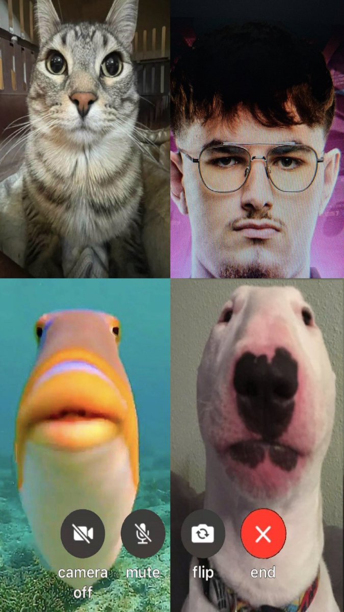 Rankou45 tweet media