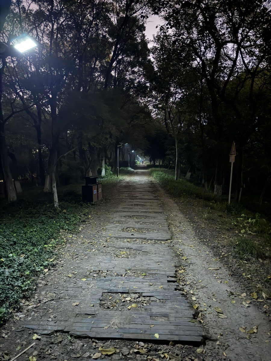 Chenlc_'s tweet photo. #杭州鸟洞 #小树林 打卡。 https://t.co/ISxArcuIQa