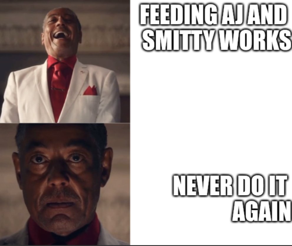 thomasrp93's tweet image. Kevin Patullo, for no reason at all

#Eagles