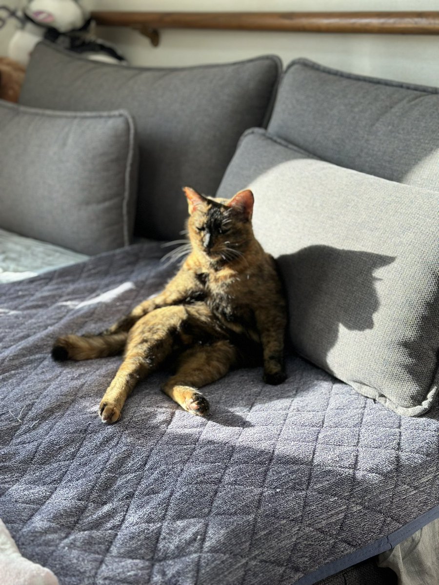 たけお (@h_g_s_etta) / Posts / X