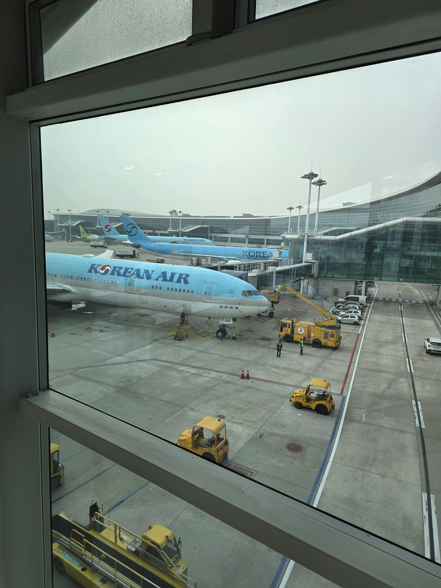 냐옹쩌둥 tweet media