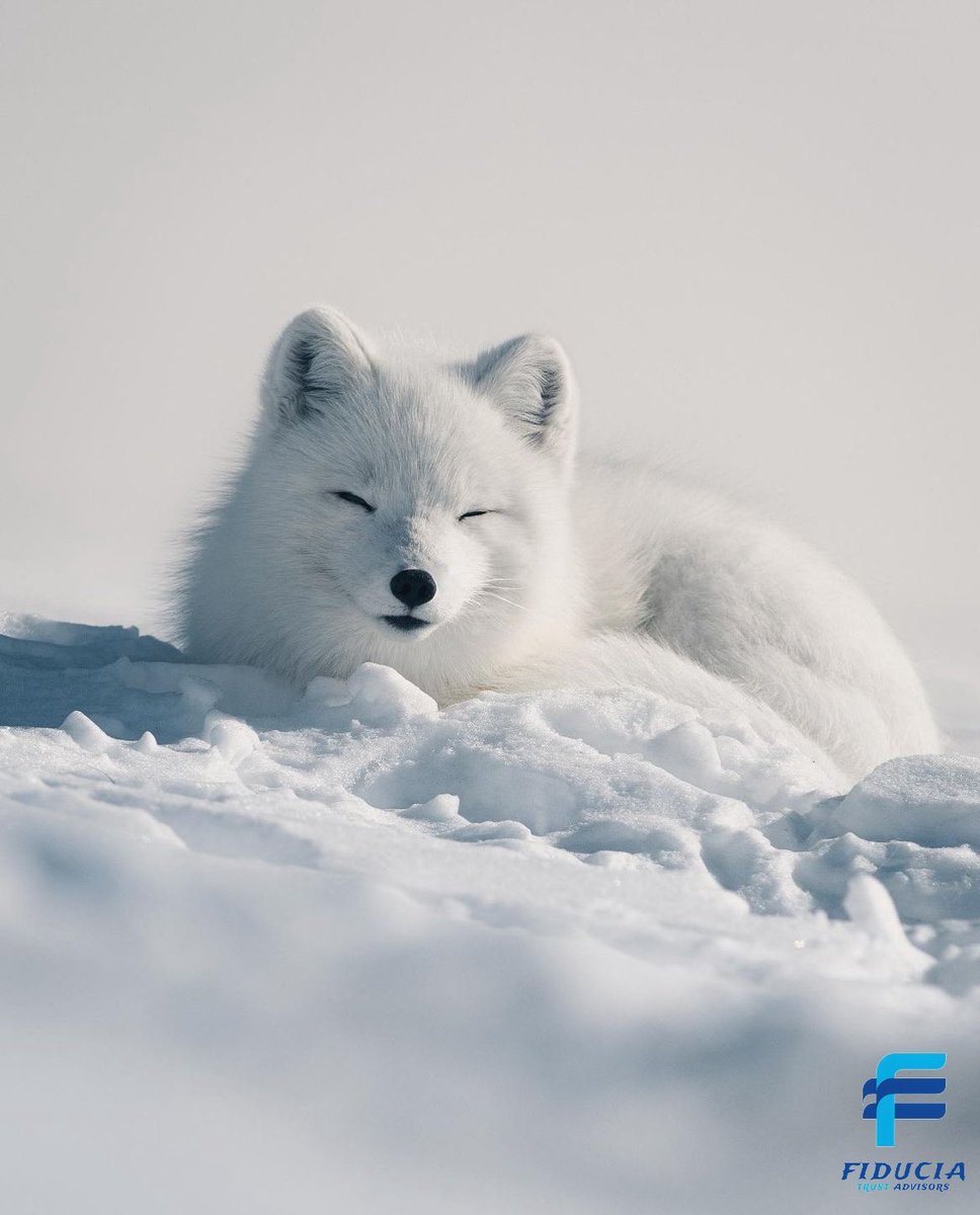 😎 Look here. So cute!