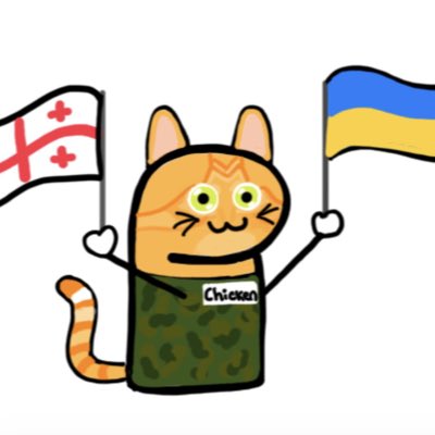 AceTheCat21's tweet photo. Back to the beginning
Please donate to our warriors at @U24_gov_ua
#NAFO
#SupportUkraine
#SupportGeorgia
#FuckTrump https://t.co/x8FIEtaFkP