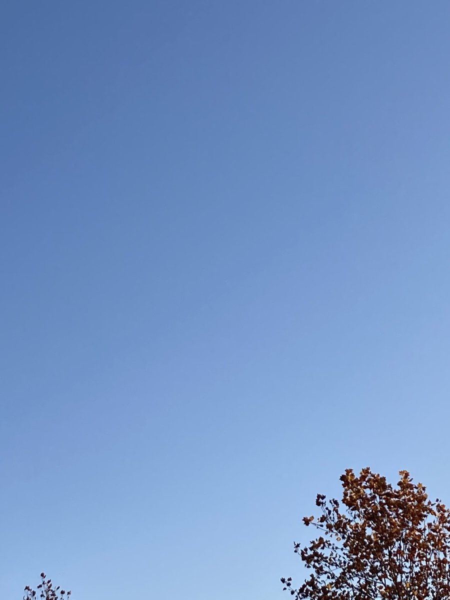 soap_dreamer's tweet image. おはようございます。
11/24(月)もよろしくお願いします。
秋晴れの空が広がり、気持ちのいい朝となりました。
穏やかな一日となりますように……

#空を見上げて