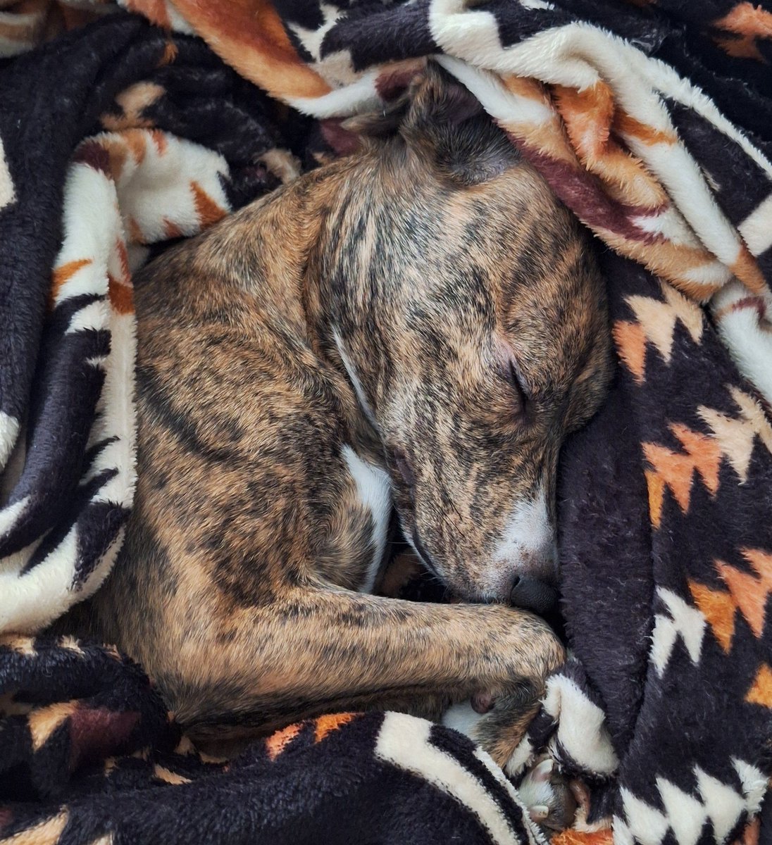 Califoxnya's tweet photo. Mi bb 🩷🫠 https://t.co/0lDEvskLzp