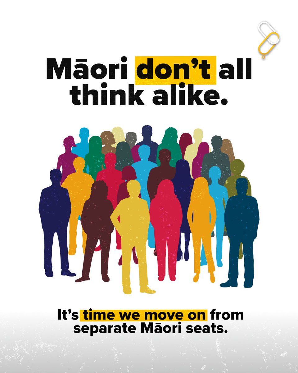 HobsonsPledgeNZ's tweet image. Most Māori don't vote for Te Pāti Māori. It is time we improved our system of representation by removing special Māori seats. Sign the petition: hobsonspledge.nz/no-more-maori-…