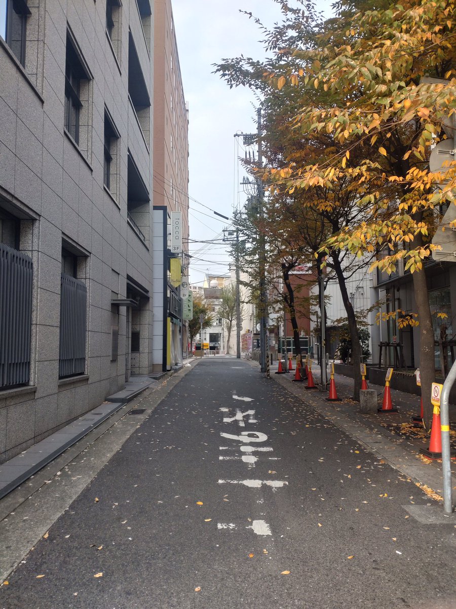 今週もありがとうございました！

連休は初めてのお客様も多く、ラムとの遭遇を楽しんで頂けました

本日は勤労感謝の日の振替休日でお休みです
次の営業は火曜日から
来週もよろしくお願い致します

#三宮 #ラム酒バー