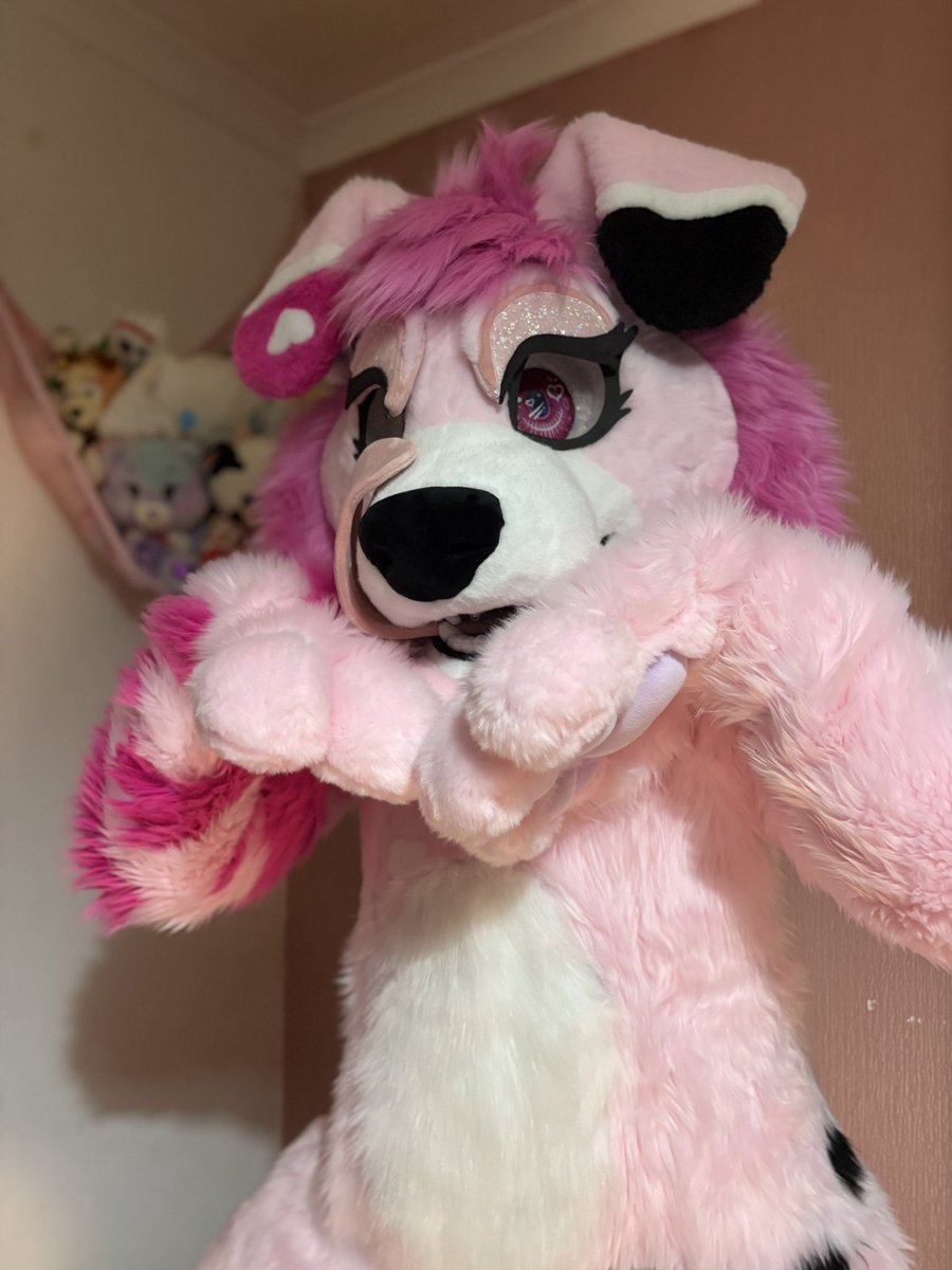Melody_Floof's tweet photo. 💗 MELODY REVEAL 💗

What an INCREDIBLE experience with @HeadofMedusaArt 😭 dreams came true today, in AWE🥰🐶 https://t.co/6WvtSwk0Zf