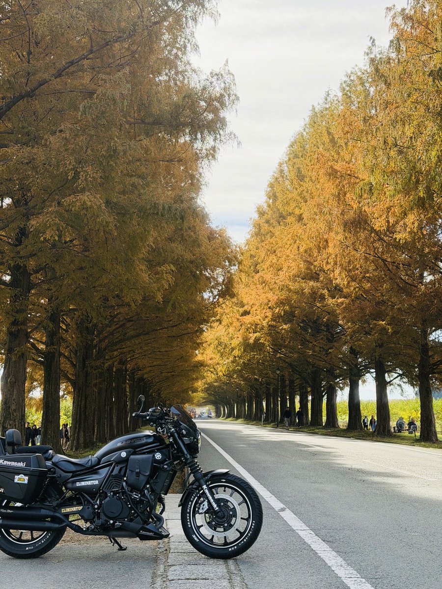 Libra_ELIMI's tweet image. CBTR2025最終日
いゃ〜めちゃくちゃ混んでました。
名神集中工事、彦根周辺地域イベント
メタセコイヤ周辺大渋滞、
交通規制🥺🥺🥺他にも色々あったけど
最後の最後に全て帳消しになりました。
上手く撮れず
息子に任せました。
最高の1日でした
＃エリミネーター
＃CBTR2025
＃琵琶湖
＃メタセコイヤ