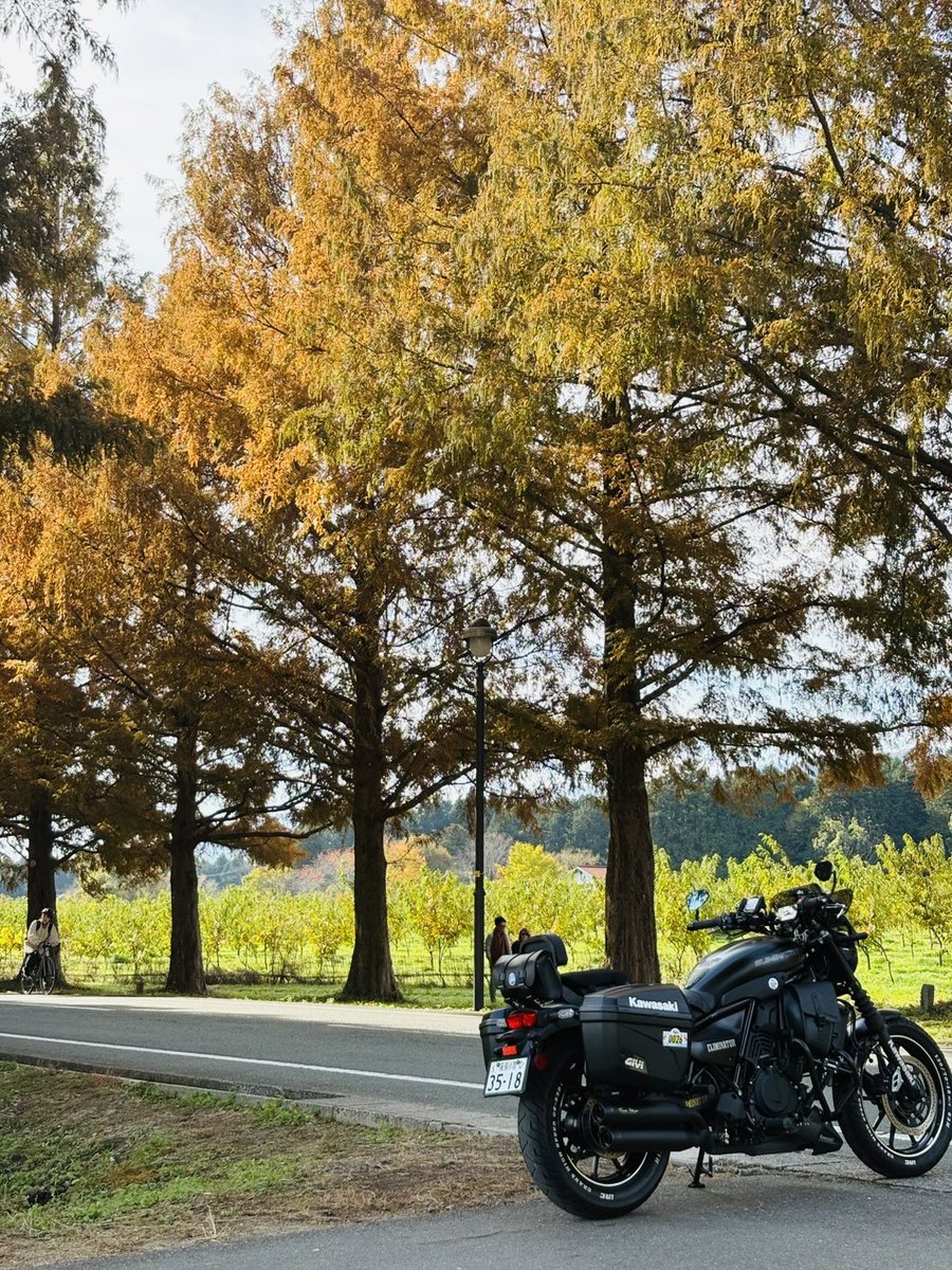 Libra_ELIMI's tweet image. CBTR2025最終日
いゃ〜めちゃくちゃ混んでました。
名神集中工事、彦根周辺地域イベント
メタセコイヤ周辺大渋滞、
交通規制🥺🥺🥺他にも色々あったけど
最後の最後に全て帳消しになりました。
上手く撮れず
息子に任せました。
最高の1日でした
＃エリミネーター
＃CBTR2025
＃琵琶湖
＃メタセコイヤ