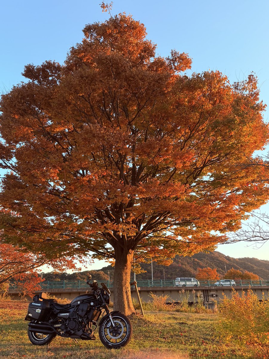 Libra_ELIMI's tweet image. CBTR2025最終日
いゃ〜めちゃくちゃ混んでました。
名神集中工事、彦根周辺地域イベント
メタセコイヤ周辺大渋滞、
交通規制🥺🥺🥺他にも色々あったけど
最後の最後に全て帳消しになりました。
上手く撮れず
息子に任せました。
最高の1日でした
＃エリミネーター
＃CBTR2025
＃琵琶湖
＃メタセコイヤ